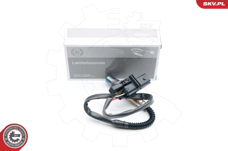 Oxygen Sensor